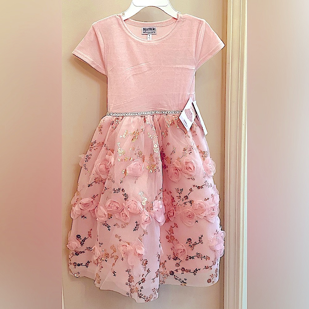 NWT BlueBeri Pink Layered dress, silver/gold accents, rows of flowers